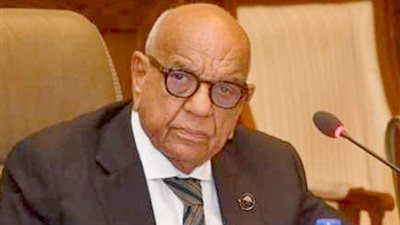 رئيس لجنة البيئة بـ الشيوخ: احتمالية غرق بعض المناطق فى مصر بسبب تغيرات المناخ