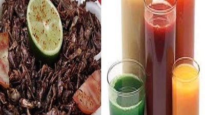 5 طرق للتخلص من الحشرات بالمنزل في الصيف.. بدون مبيدات