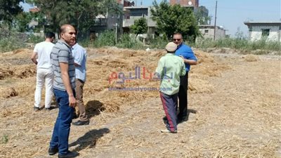 تحرير97 محضر ضد أصحاب حيازات زراعية والسبب القمح