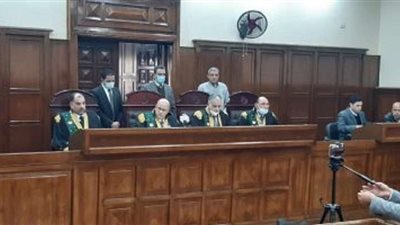 لقتله سيدة وطفلها.. جنايات طنطا تقضي بإحالة أوراق سروجي سيارات للمفتي