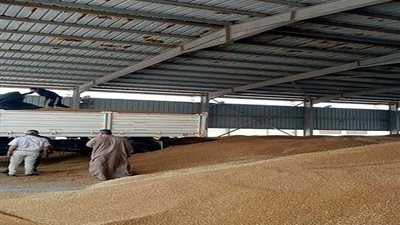 مباحثات عاجلة بين مصر والهند حول استيراد القمح مقابل الأسمدة ومنتجات أخرى