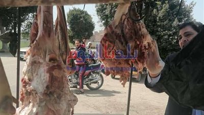 تحرير 224 محضرًا تموينيًا خلال أسبوع بسوهاج