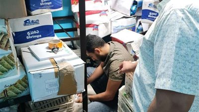 ضبط أكثر من نصف طن أسماك وجمبري منتهي الصلاحية بالدقهلية