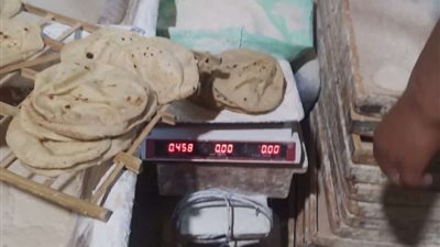 ضبط العديد من المخالفات التموينية بالمخابز والمحلات والأسواق بالدقهلية