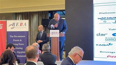 وزير الخارجية: مصر حريصة على علاج الشواغل الإفريقية في تغير المناخ خلال مؤتمر أطراف COP27