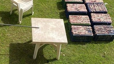 الطب البيطري: 