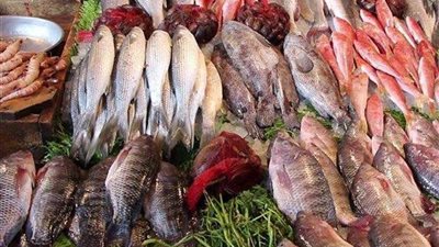 أسعار الأسماك اليوم الخميس 9-6-2022