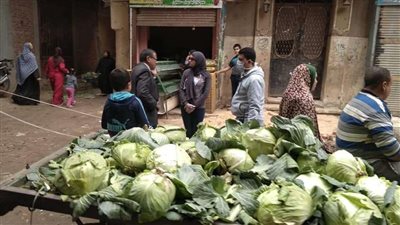 فض الأسواق الأسبوعية بقرى كوم أشفين وبلقس بقليوب