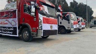 بالفيديو والصور.. مساعدات طبية وإنسانية من مصر لأهالي قطاع غزة