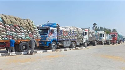 شرطة التموين تضبط أطنان من 