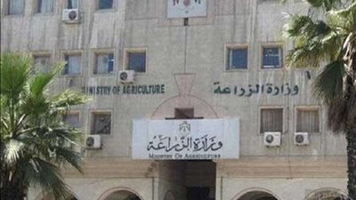 هدى رجب: الزراعة التعاقدية تقوم بدور الإرشاد الزراعي