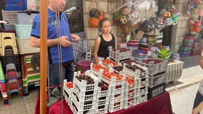 اللبنانيون يتحدون الظروف الصعبة ويحتفلون بيوم الكرز