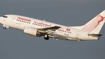 وصول 20 مصري من تونس إلى مطار القاهرة