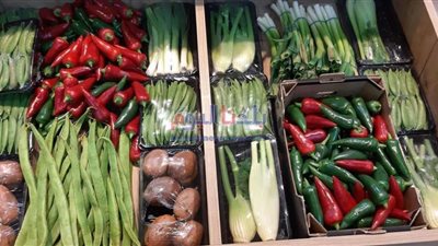 منافذ الزراعة تبيع السلع بأسعار مخفضة تصل لـ20%