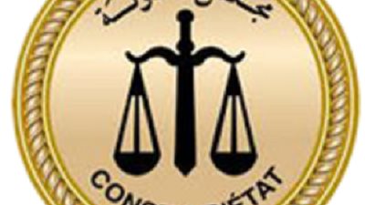 القضاء الإداري يقضي بعودة رئيس نادي الشيخ زايد لمنصبه