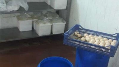 غلق مصنعين لمنتجات الألبان يعملان بدون ترخيص بالشرقية