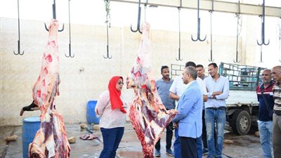 سكرتير مساعد قنا يتابع سير العمل بمجزر الجزيرية