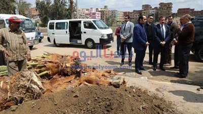 محافظ المنوفية يتفقد أعمال زراعة النخيل المثمر بمدخل مدينة شبين الكوم