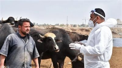 إرتفاع عدد الإصابات والوفيات بالحمى النزفية بالعراق لـ 194 حالة