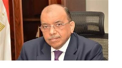 شعراوي: توفير 97.7% من الأراضي لمشروعات حياة كريمة