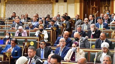 وزيرة التخطيط: المؤشر الحقيقى للتنمية هو توفير فرص عمل