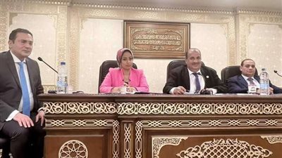 رشا كليب نائبة 