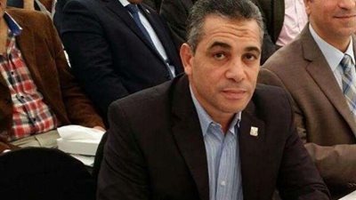 عليوة: تكاتف الأحزاب ومنظمات المجتمع المدني ضروري لتفادي الآثار السلبية لـ