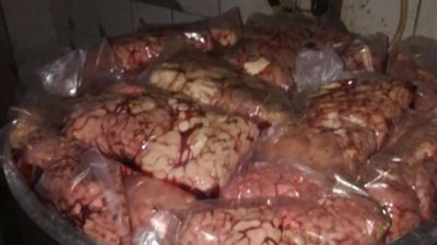 ضبط 30 طن من اللحوم والأسماك والدواجن الفاسدة بمحافظة الجيزة