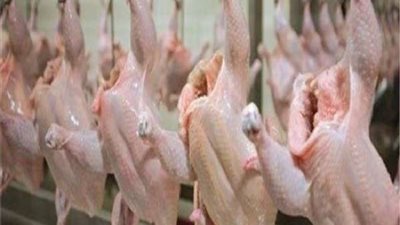 أسعار الفراخ والبط والسمان اليوم الجمعة 24-6-2022 في الاسواق