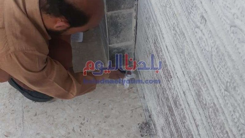 بلدنا اليوم