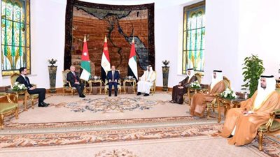 السيسي يبحث مع وزير خارجية الإمارات زيادة الاستثمارات في عدة مجالات بالقاهرة