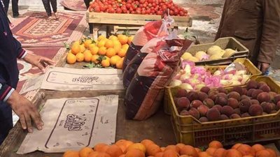 متطوعون بإحدى قرى الدقهلية يتحدون كورونا بشنطة الخير الأسبوعية