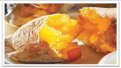 شعبة المخابز تعلق على دراسة إنتاج رغيف الخبز من البطاطا بدلا من القمح