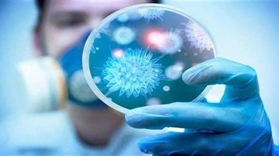 إعلامية تكشف وسيلة نقل فيروس كورونا إلى ووهان الصينية