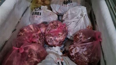 التموين تضبط كمية كبيرة من السلع الغذائية مجهولة المصدر بالمرج