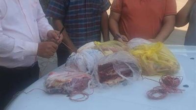 تحرير 15 محضر للذبح خارج المجازر الحكومية وضبط لحوم وكبدة غير صالحه للاستهلاك الآدمي