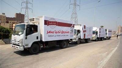 تحيا مصر: وفرنا 12.5 طن مواد غذائية بقرية المعتمدية.. وحملة لدعم الصيادين