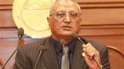 أبو عايشة: 30 يونيو ثورة حية ونابضة ستظل في وجدان ملايين المصريين للأبد