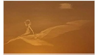 ما القصة؟ مظهر في سماء العريش يبيّن طفلا فوق جناح طائر