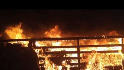 دون إصابات .. السيطرة على حريق مصنع مواد كيمياوية في السلام