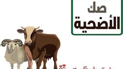 وزير الأوقاف يعلن عن المديريات المتفوقة في مشروع صكوك الأضاحي