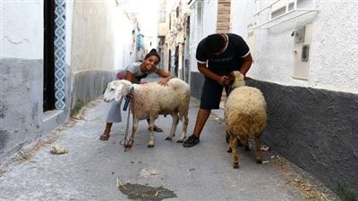 موعد إجازة عيد الأضحى المبارك 2022 للقطاع الخاص والعام