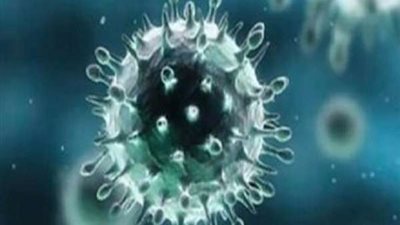 محافظ الشرقية يُشيد بمجهودات المجتمع المدني لمكافحة جائحة كورونا المستجد