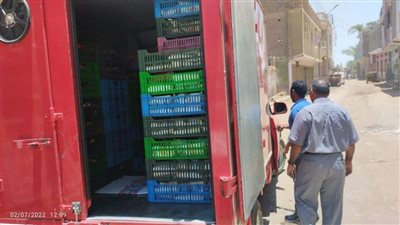 مراقبة الأغذية بقنا تفعيل خطتها لاستقبال عيد الأضحى المبارك