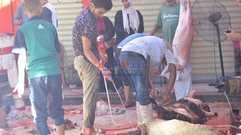 بلدنا اليوم