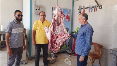 ضبط 70 كيلو لحوم خارج السلخانة فى حملة تموينية بالدقهلية