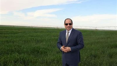 السيسي: آخر اقتراح لى على الإخوان انتخابات رئاسية مبكرة لكن اختاروا القتال