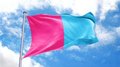 هل تنتصر فطرة على حملات دعم المثليين ؟