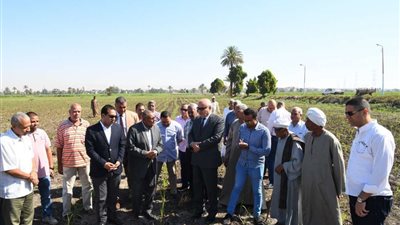 محافظ قنا يتفقد أول حقل إرشادي لزراعة قصب السكر باستخدام أسلوب الشتل والري الحديث