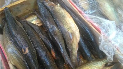 ضبط منتجات غير صالحة للاستهلاك الآدمي بأسواق مدينة مرسى مطروح.. صور